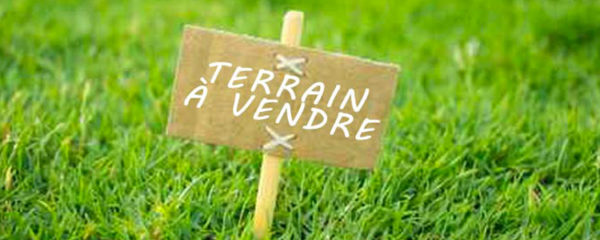 terrain constructible